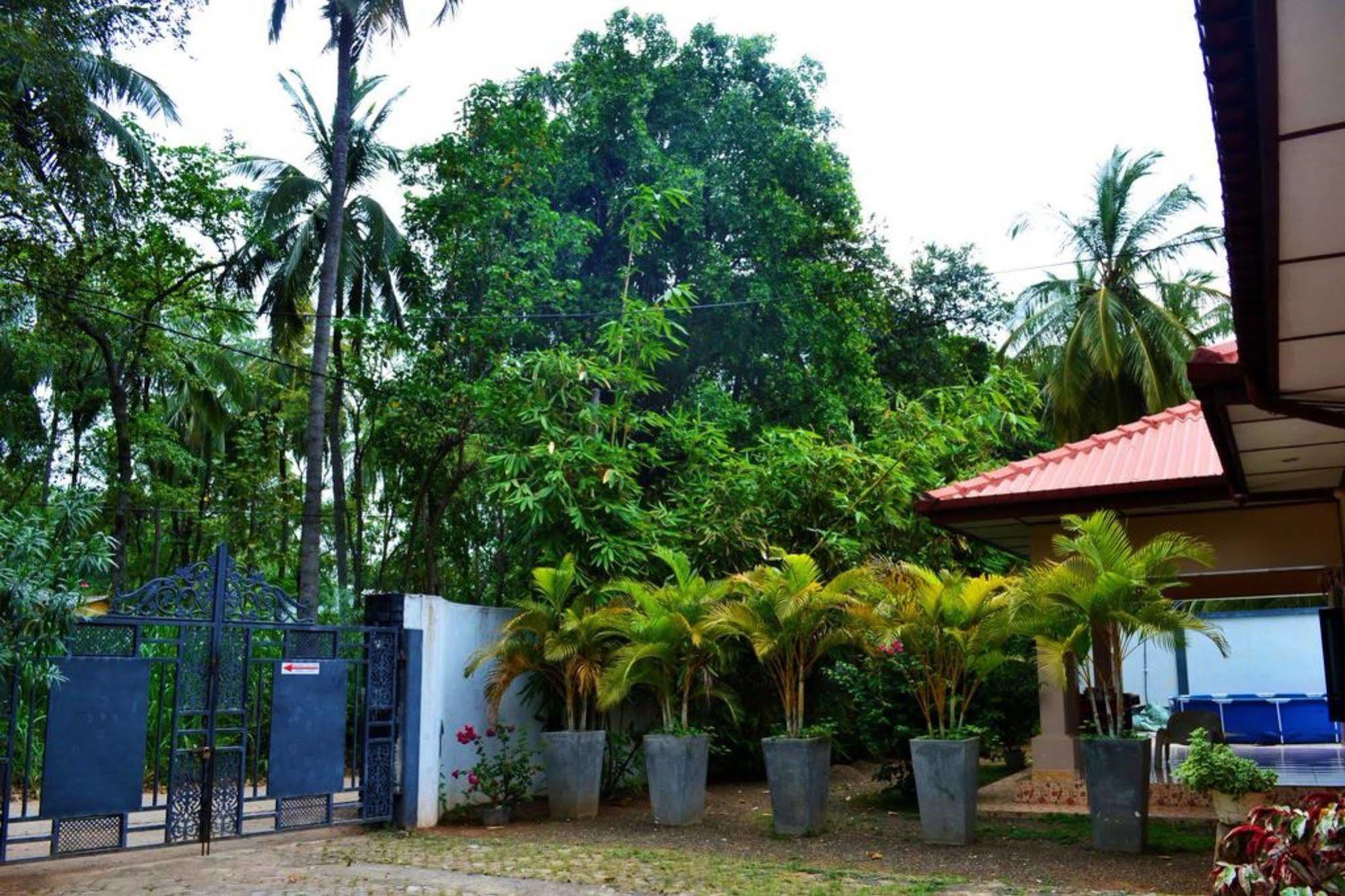 Dambulla City Hostel المظهر الخارجي الصورة