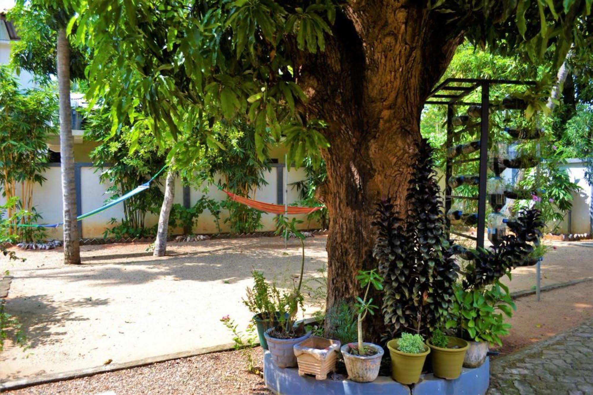 Dambulla City Hostel المظهر الخارجي الصورة